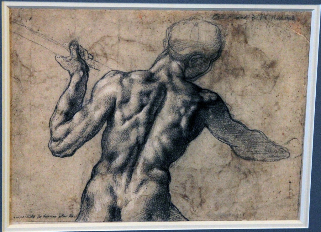 Back View of a Nude Male, Michelangelo Buonarroti (ca. 1504)